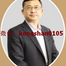 孙阳 顶底预判买卖点盘口大单涨停趋势为王筹码看主力 股票内部培训视频课程