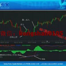 福汇威力学堂 MACD艾略特波浪套息交易相对强弱资金管理全系列外汇视频培训课程（共26集）