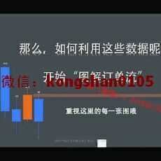 图解订单流交易 数字维度波段应用择时周期 黄金外汇实战培训视频课程