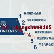 邵悦华 多重时段交易精髓判断交易方向密码 外汇黄金实战培训视频课程