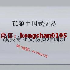 张磊 波浪优化高低点数浪级别加仓综合使用练习 黄金外汇实战特训培训视频课程