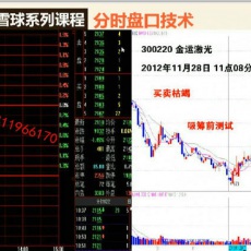 解新忠 分时盘口挂单涨停分时图综合操作核心技术 股票内部培训视频课程（共23集）