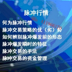 淘大豆 日内高频脉冲行情训练法交易技巧 期货操盘手实战课堂视频培训课程