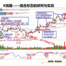 王学永 均价形态量能多空买卖点布林综合应用 股票2天内部培训视频课程