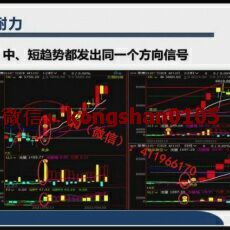 和讯林和锡 趋势分析形态反转核心技术时势策略最佳开仓点 期货内部培训视频课程