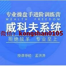 孟洪涛 2019年威科夫操盘法精华集训营10天实战培训 股票期货外汇内部培训课程（录音+上课讲义笔记）