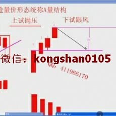 股市实战派 涨停回马枪分时盘口中枢理论稳健盈利 股票内部视频培训课程