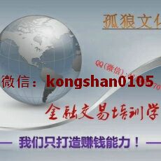 孤狼文化金融交易 张磊 一字诀多空分界市场延续反转判断 外汇现货黄金培训视频课程