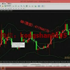 凡泰达蒙团队鸿雁WIN 布林粗暴盈利战法短线交易 外汇内部培训课程