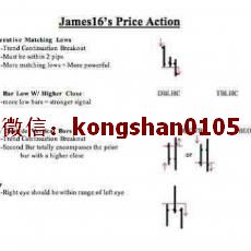 james16 裸K价格行为技术外汇趋势交易法 实战内部培训视频课程