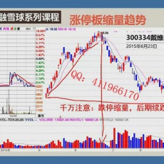 解新忠金融雪球 职业盘手的基础交易系统 主力建仓分时买卖技巧涨停板 股票实战内训视频课程