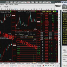 刺客团队黄海金 日内短线交易战法精髓多空动作情绪 期货实战培训视频课程（共30集）