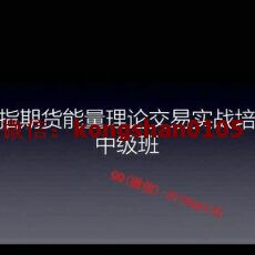 韩冬 三维体系股指期货能量强弱理论市场结构交易实战技术培训中级班视频课程