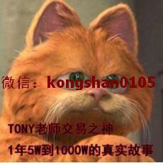 李法师XTony 顺势波段浮盈滚仓交易策略资金风控实操心法 期货外汇内部培训资料课程