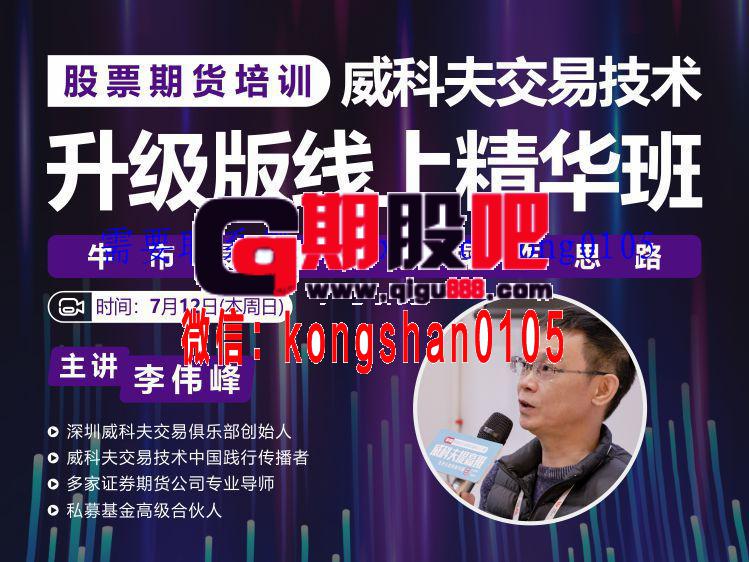 李伟峰2022年威科夫交易技术股票期货培训升级版线上精华班视频课程-期货波段交易精题