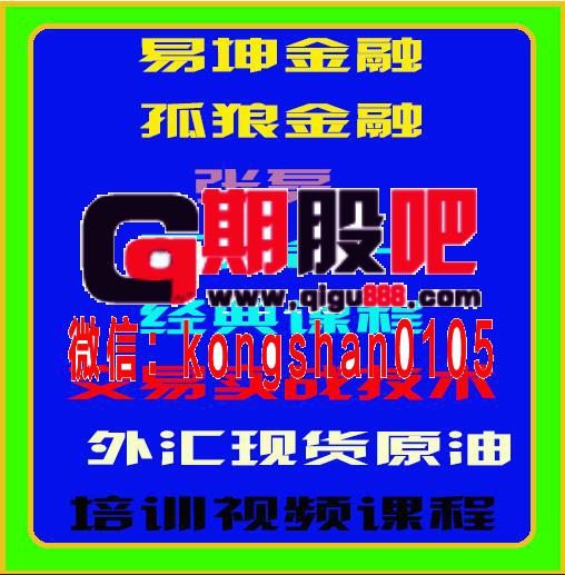 易坤金融孤狼张磊天人合一经典课程论交易实战技术外汇原油期货培训视频-期货日内波段交易精随