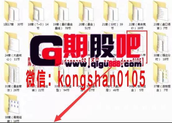 骆驼子涵全系列量形,量级,量金,分时,竞价,抓妖战法,核心选股703节视频课程