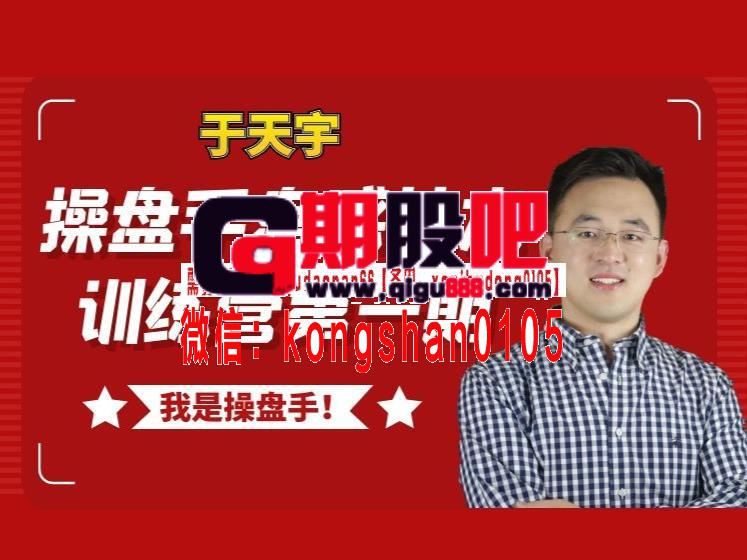 丁天宇 操盘手盘感技术训练营第一期(技术面+资金面)