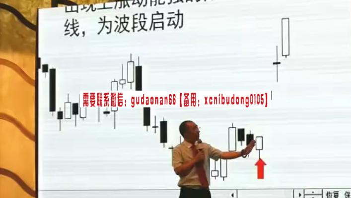 弘历投教赵伟2024年秋季超越技术分析高清视频课程