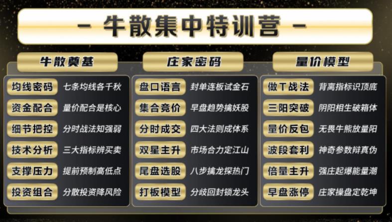 2025年袁博牛散特训营视频+资料+指标