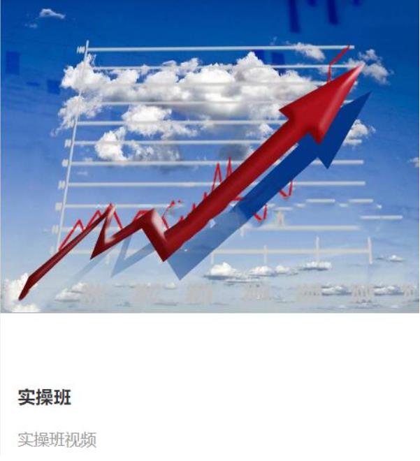 赵心纯走进殿堂 实操班视频